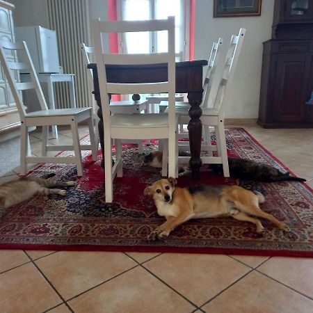 B&B Isoladelsole Перледо Экстерьер фото
